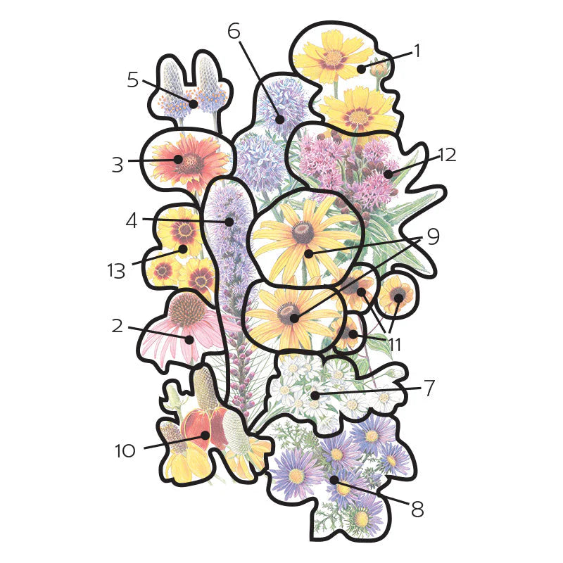 Botanical Interests, Inc. - Flower Mix Prairie Splendor-Midwest Seeds