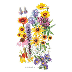 Botanical Interests, Inc. - Flower Mix Prairie Splendor-Midwest Seeds