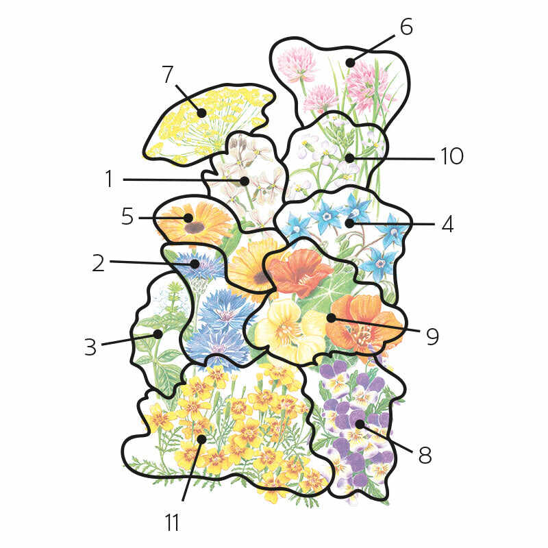 Botanical Interests, Inc. - Flower Mix Edible Beauties Seeds