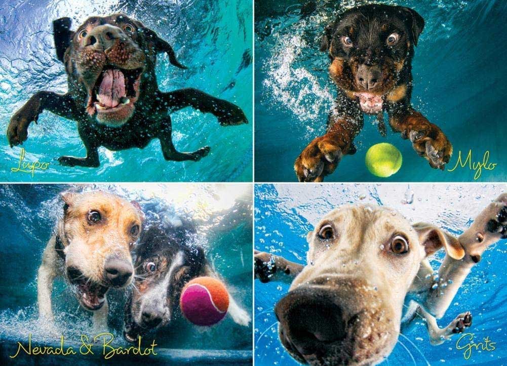Puzzle Underwater Dogs: Splash - 1000 piece