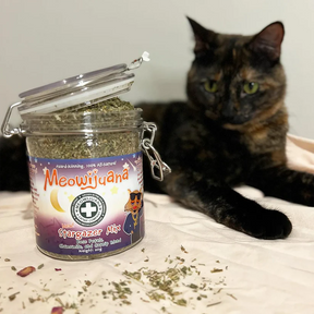 Meowijuana - Stargazer Mix Jar