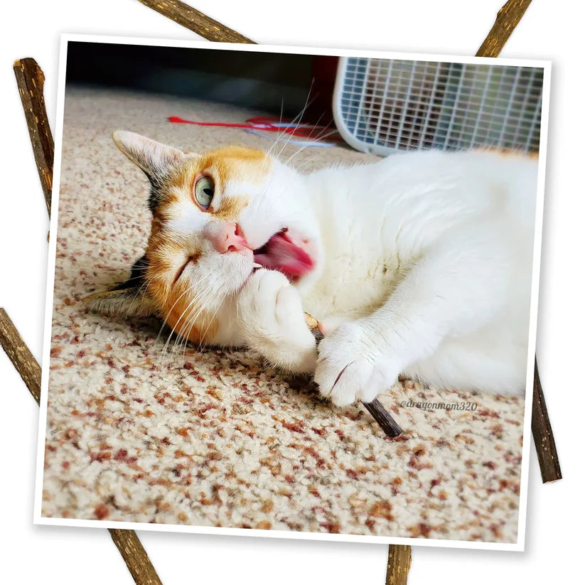 Meowijuana - Silvervine Sticks