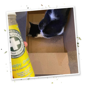 Meowijuana - Happy Gras Catnip