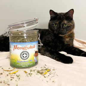 Meowijuana - Daydreamer Mix Jar