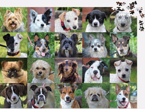 Chronicle-Hachette Book - Puzzle Rescue Dogs