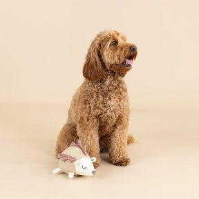 Petshop by Fringe Studio - Hedgy Earth Friendly Dog Toy