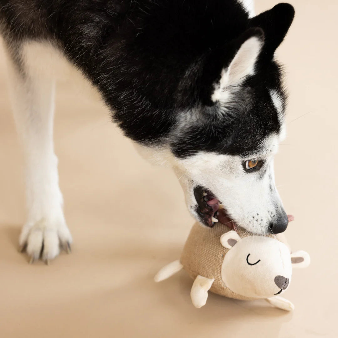 Petshop by Fringe Studio - Hedgy Earth Friendly Dog Toy