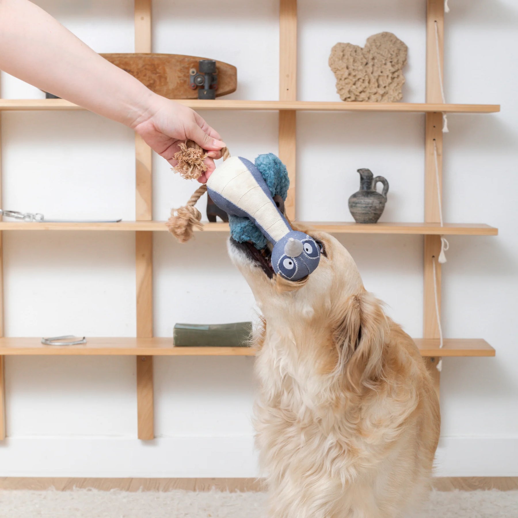Petshop by Fringe Studio - Dog Toy Feather Than Ever