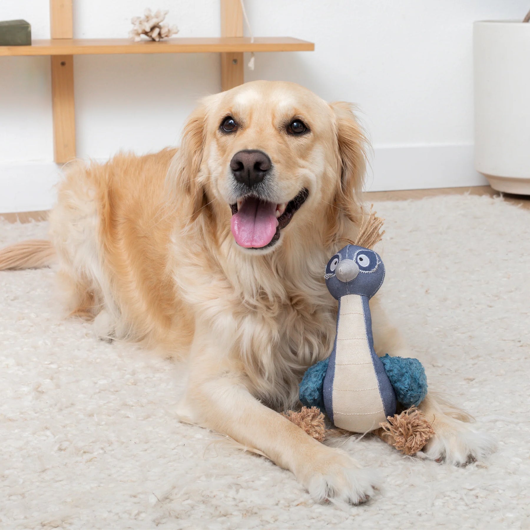 Petshop by Fringe Studio - Dog Toy Feather Than Ever
