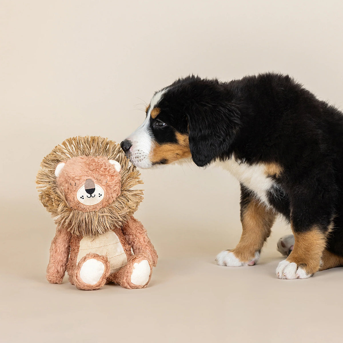 Petshop by Fringe Studio - Dog Toy Mighty Mane Earth
