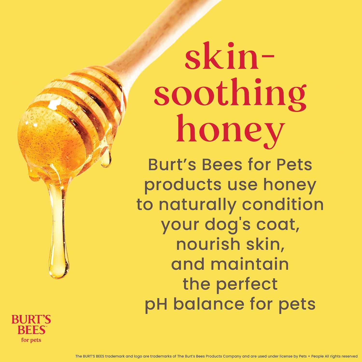 Burt's Bees - Prebiotic & Mushroom Oatmeal Shampoo for Dogs