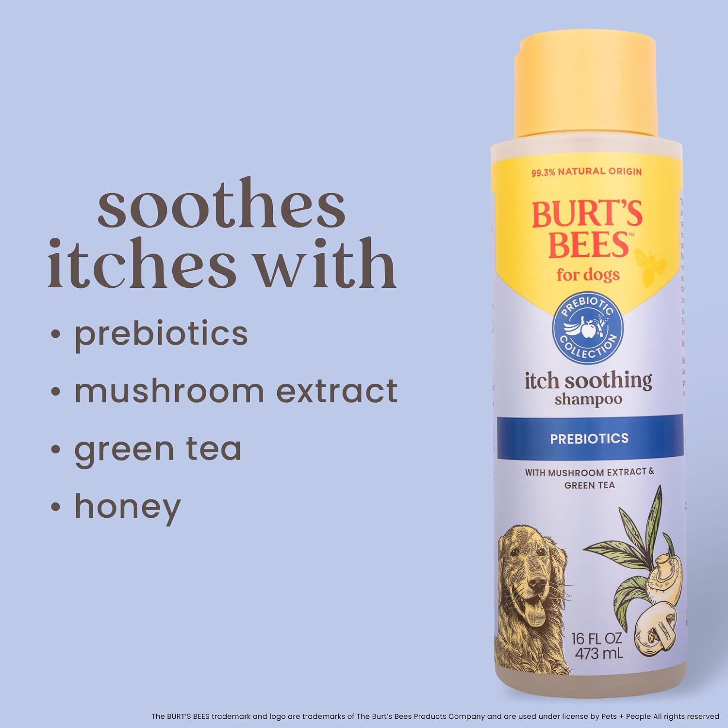 Burt's Bees - Prebiotic & Mushroom Soothing Shampoo for Dogs