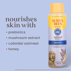 Burt's Bees - Prebiotic & Mushroom Oatmeal Shampoo for Dogs