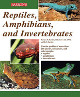 Reptile, Amphibian and Invertebrate: Identification and Care Guide