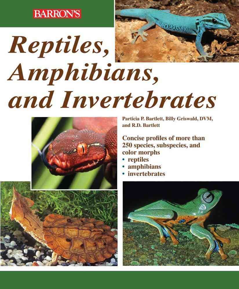 Reptile, Amphibian and Invertebrate: Identification and Care Guide