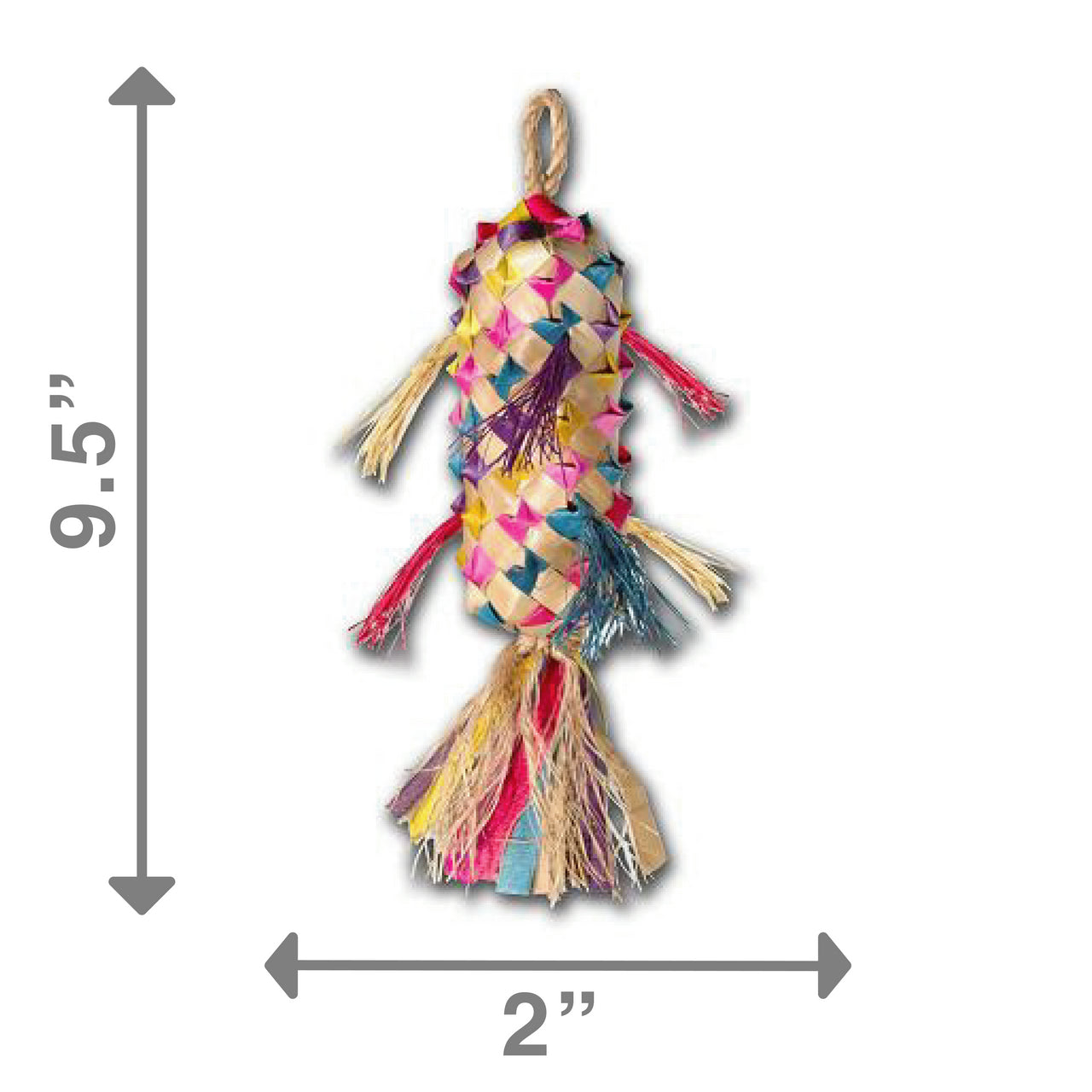 Planet Pleasures - Spiked Pinata Bird Toy