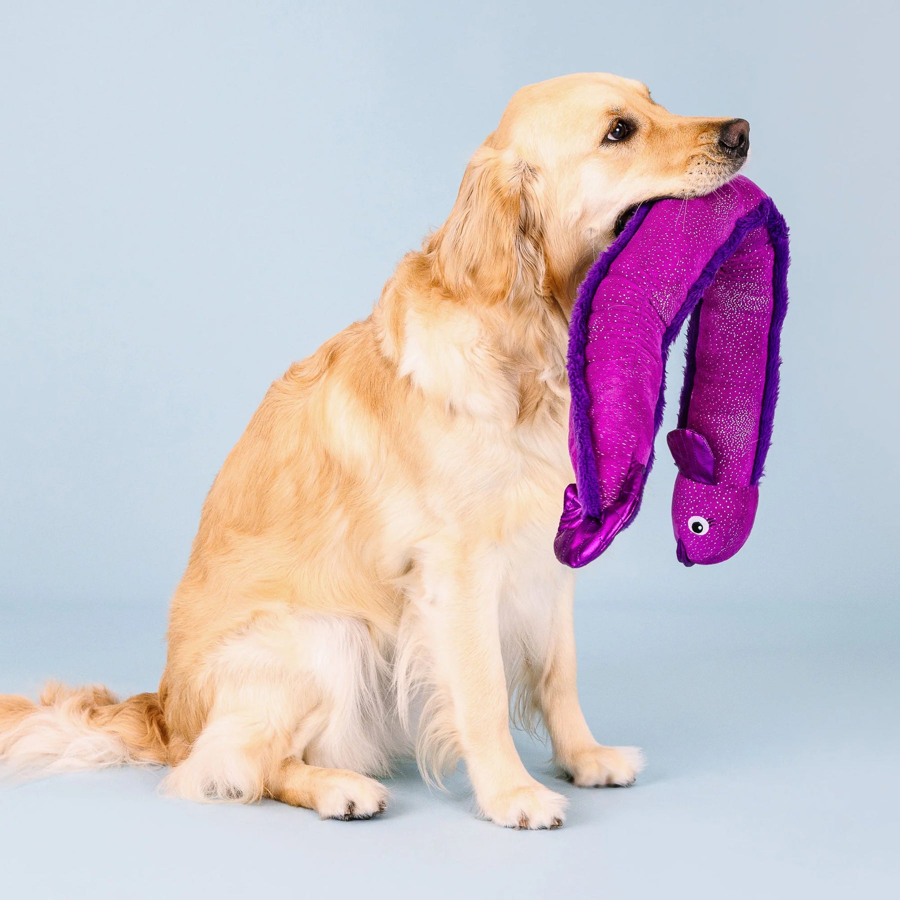 Petshop by Fringe Studio - Dog Toy Kind of a Big Eel