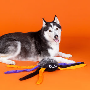 Petshop by Fringe Studio - Dog Toy TRAPPIN FLIES