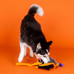 Petshop by Fringe Studio - Dog Toy TRAPPIN FLIES