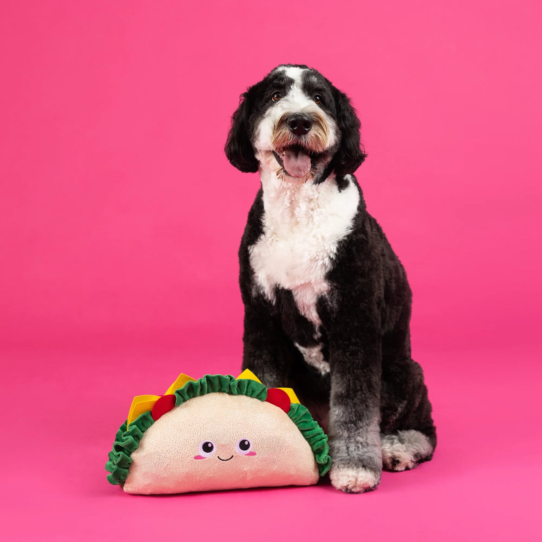 Petshop by Fringe Studio - Dog Toy Fantas Taco