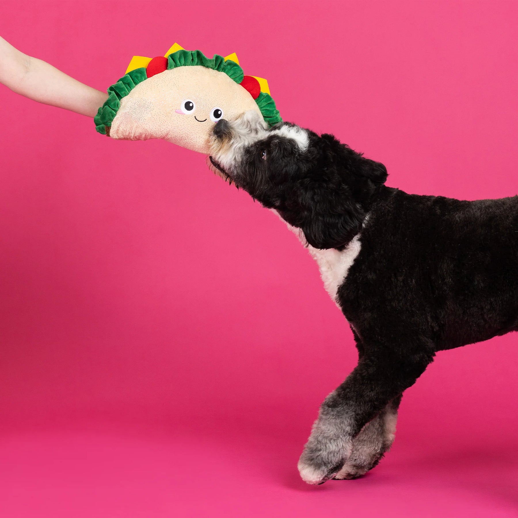 Petshop by Fringe Studio - Dog Toy Fantas Taco