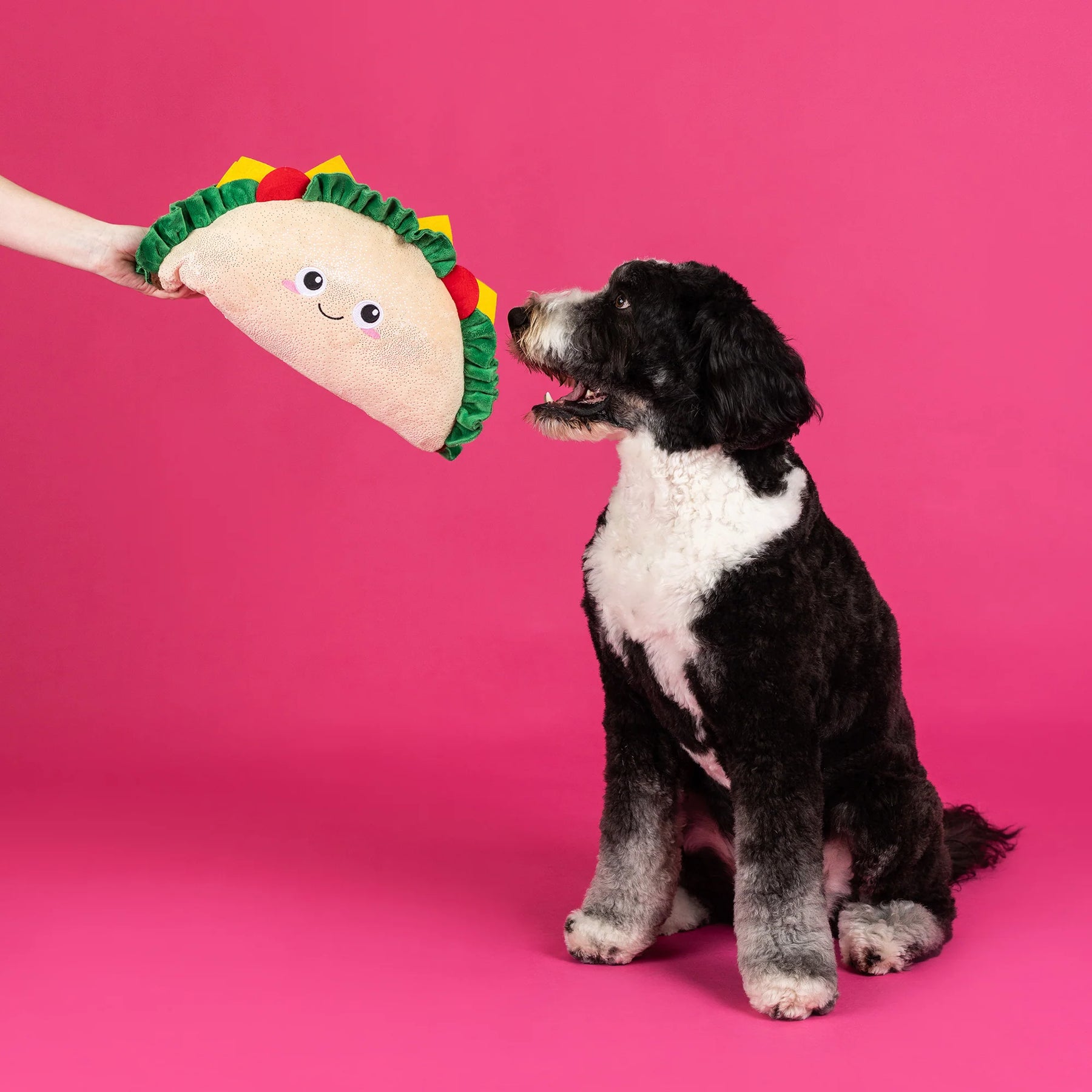 Petshop by Fringe Studio - Dog Toy Fantas Taco