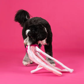 Petshop by Fringe Studio - Dog Toy Do Your Own Sting