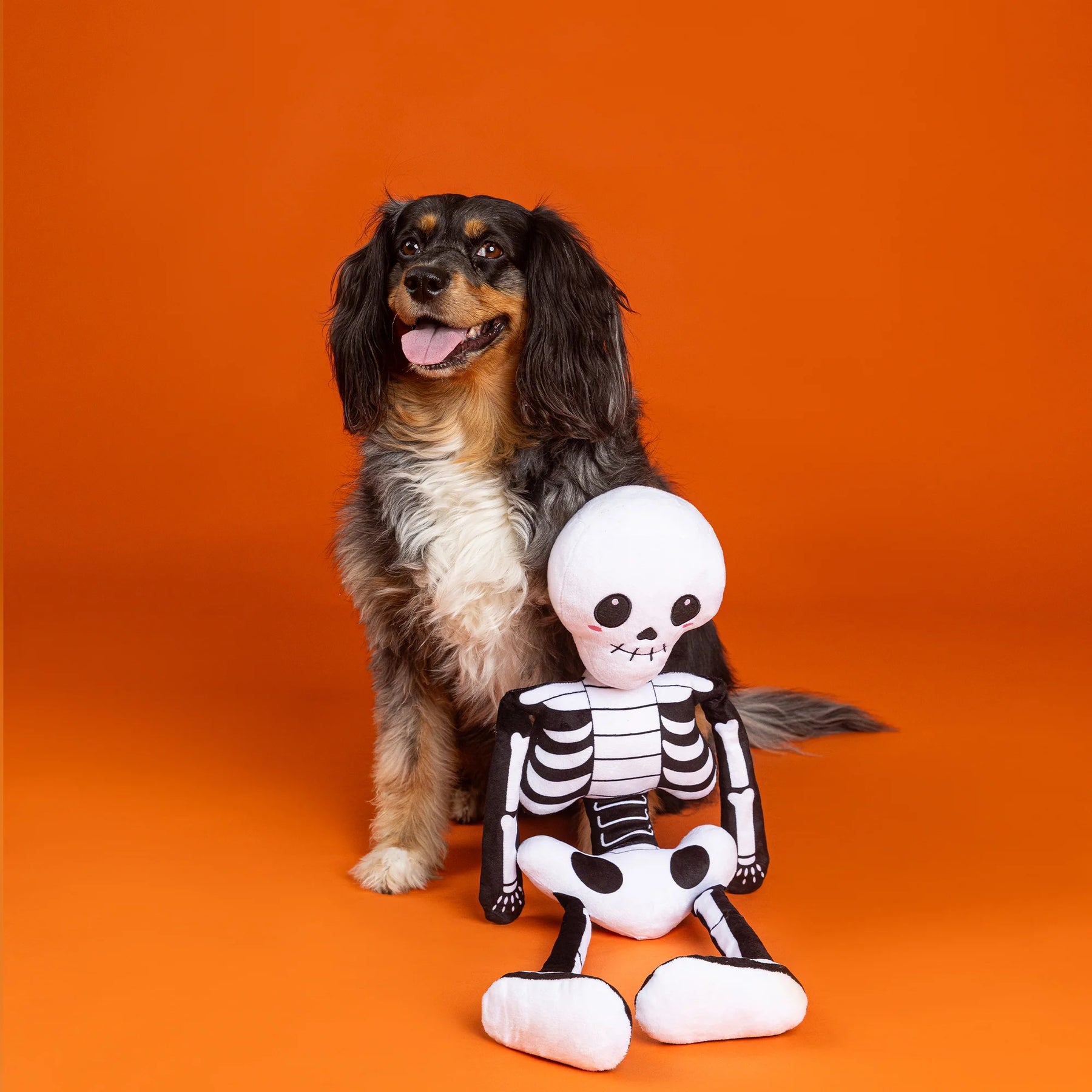Petshop by Fringe Studio - Dog Toy BONE TO BE WILD