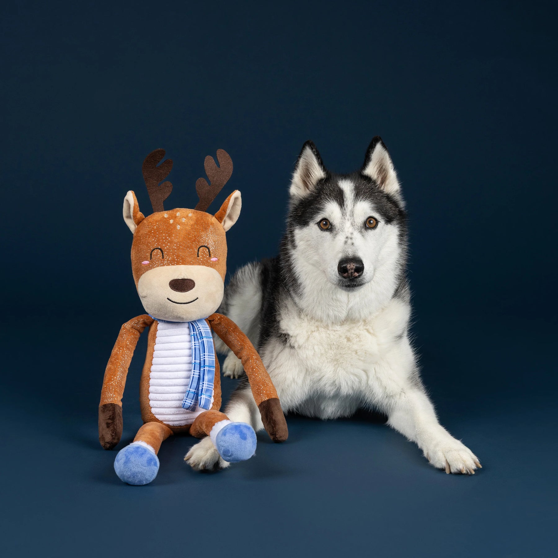 Petshop by Fringe Studio - Dog Toy Dashin' Around