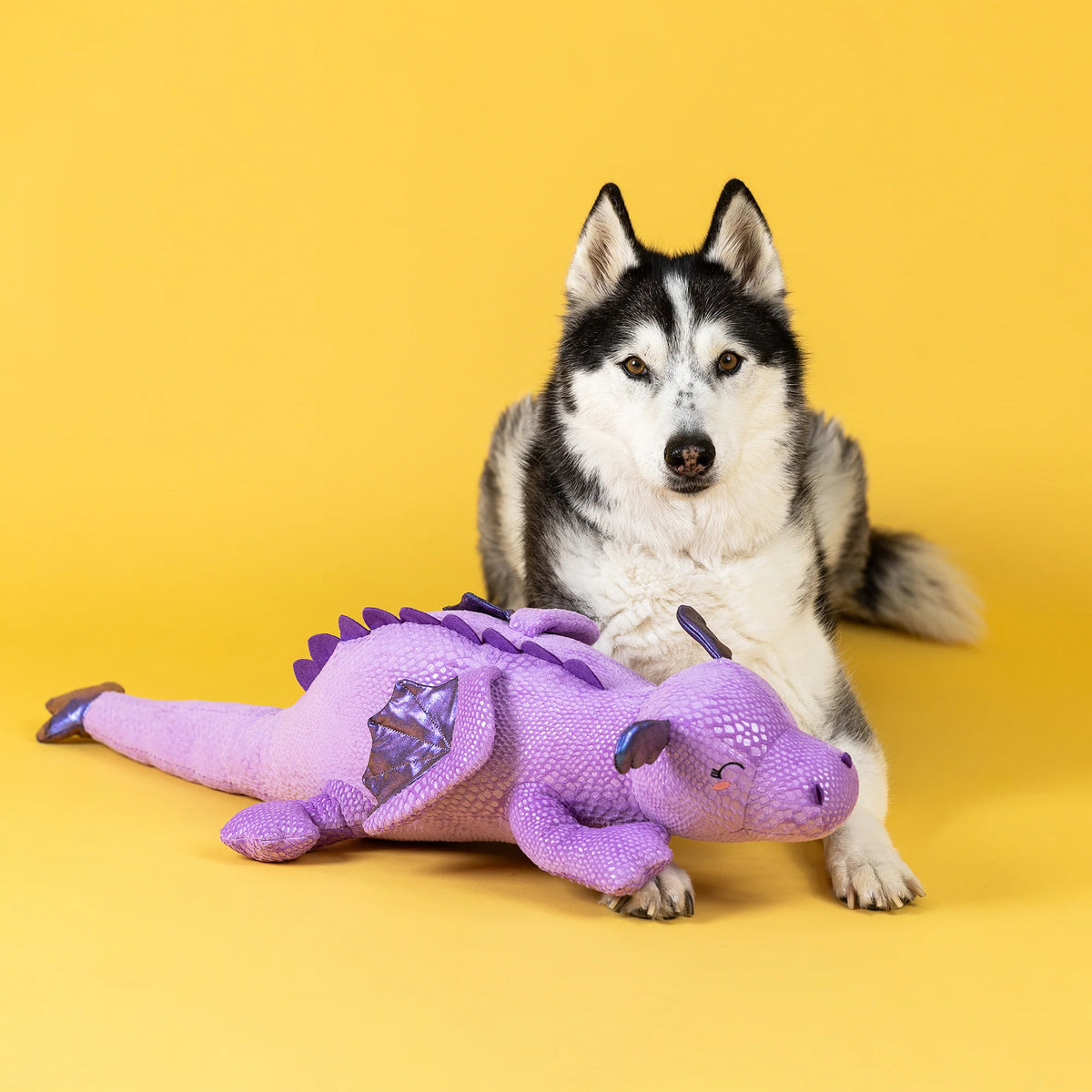 Petshop by Fringe Studio - Dog Toy My Scale Mate For Life