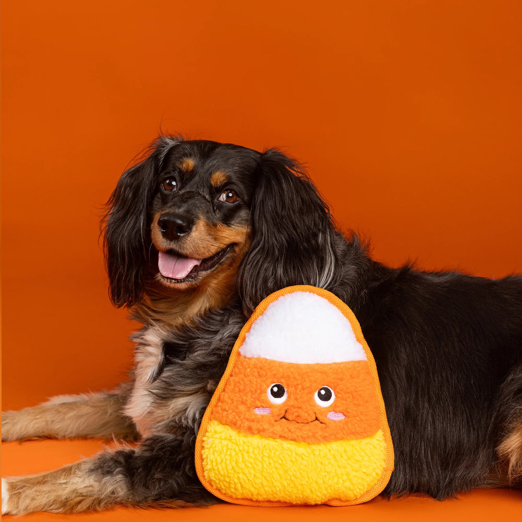 Petshop by Fringe Studio - Dog Toy CANDY YOU DIG IT DURABLE