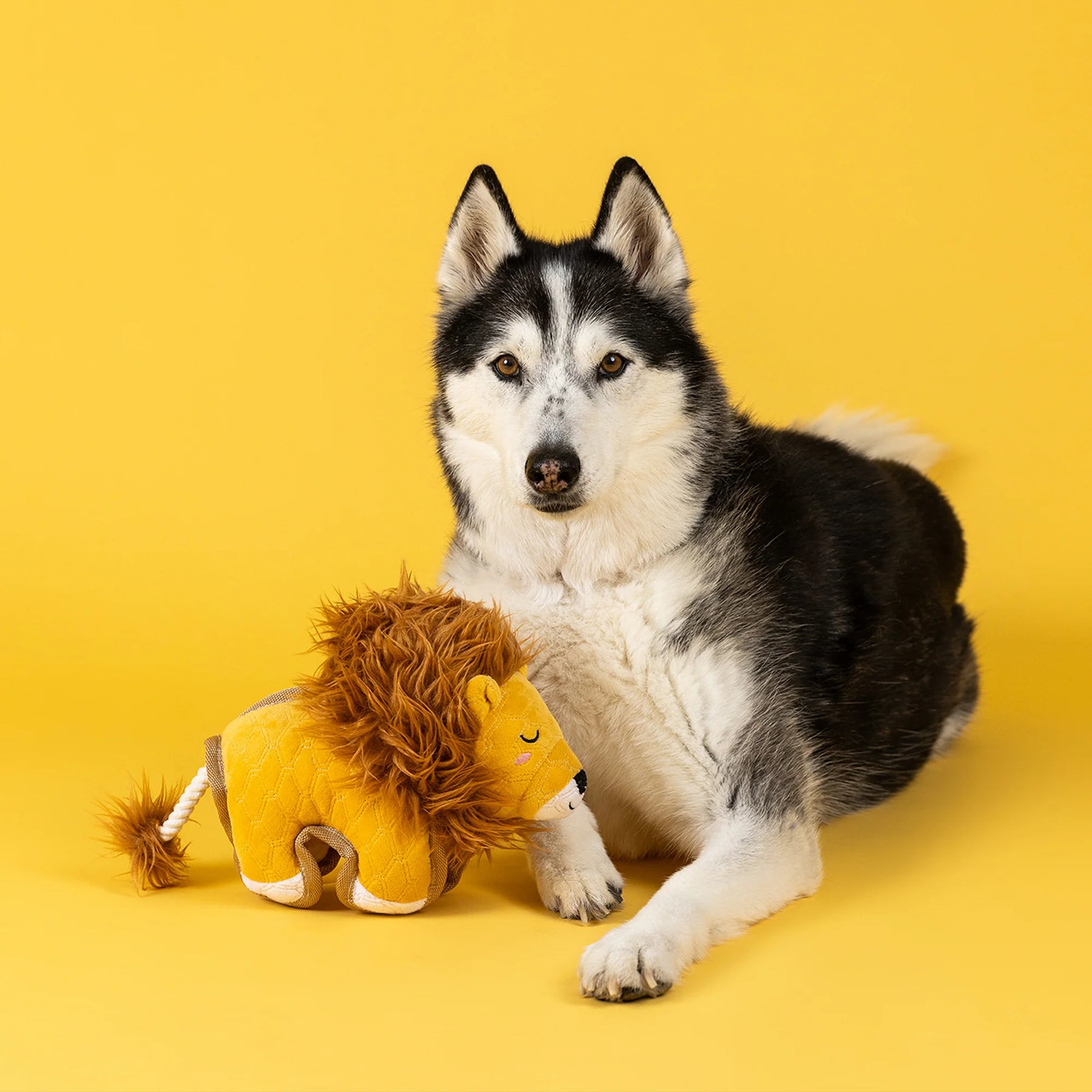 Petshop by Fringe Studio - Dog Toy Manely Just Roaring