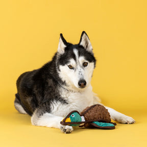 Petshop by Fringe Studio - Dog Toy Heading South Durable
