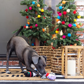 Petshop by Fringe Studio - Dog Toy Set Snow Excited!