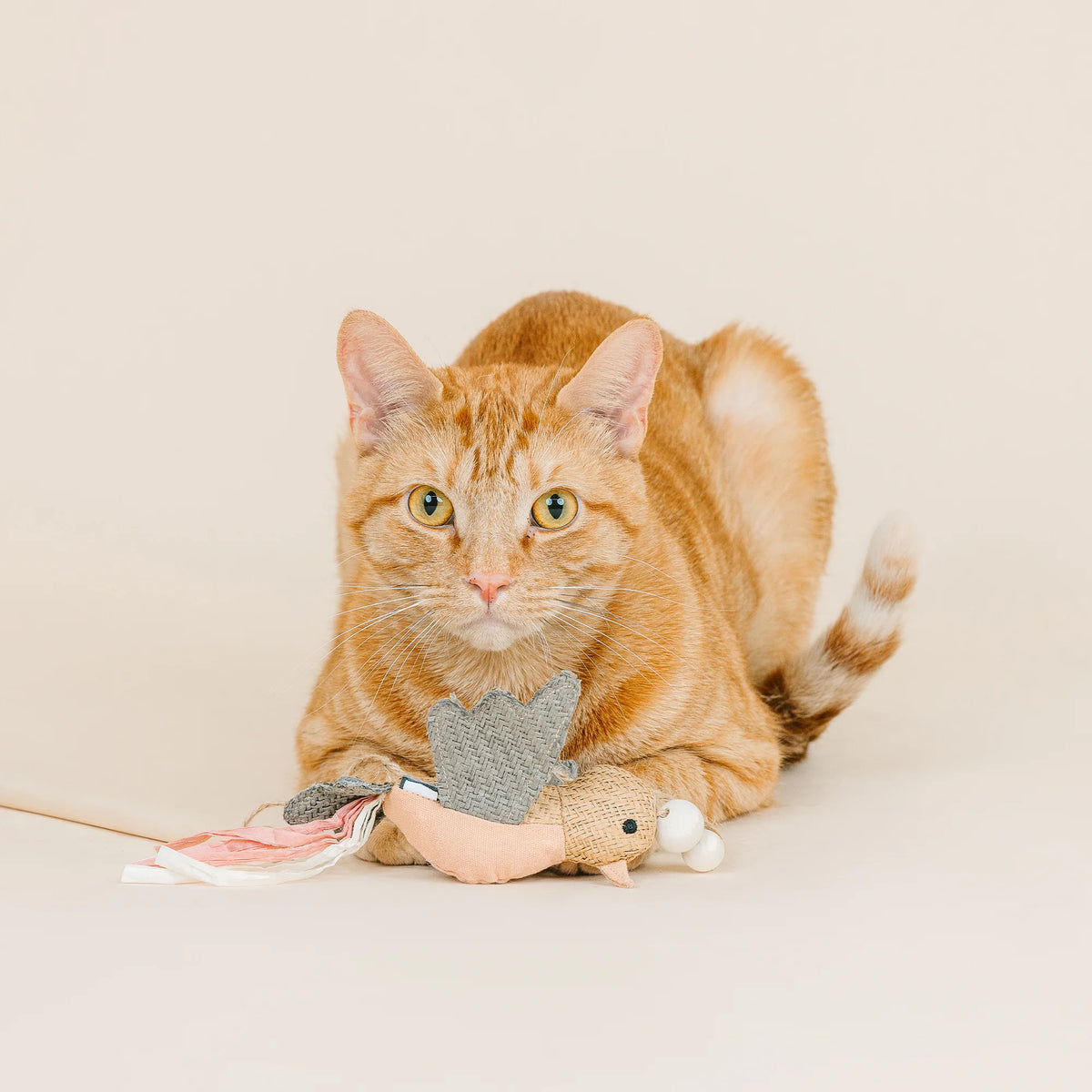 Petshop by Fringe Studio - Cat Toy Takin Flight Teaser