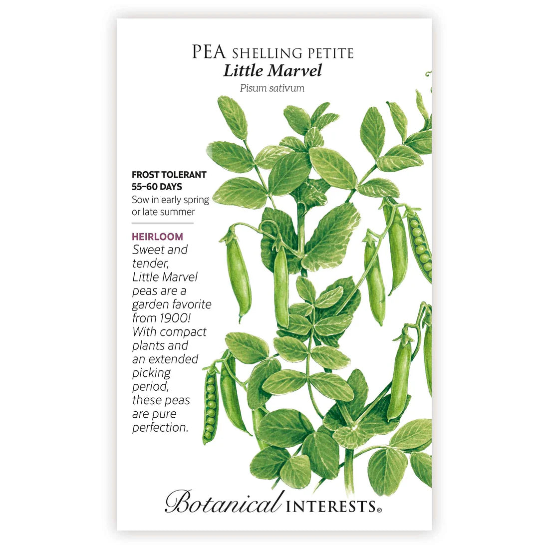 Botanical Interests, Inc. - Little Marvel Petite Shelling Pea Seeds