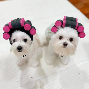 PawPaw Wholesale - Halloween Costume Wig with Pink Rollers