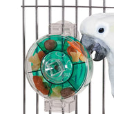 Caitec - Bird Toy Generation II Foraging Wheel