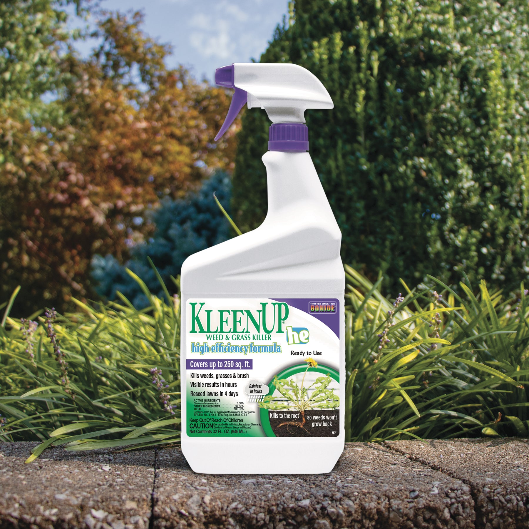 Bonide - KleenUp® “HE” High Efficiency Weed & Grass Killer with Wand