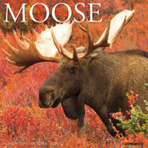 2024 Moose Calendar