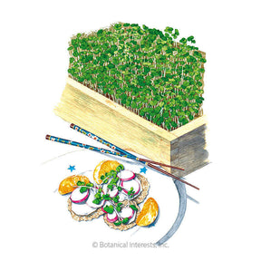 Botanical Interests, Inc. - Microgreens Umami Asian Blend Seeds - Southern Agriculture 