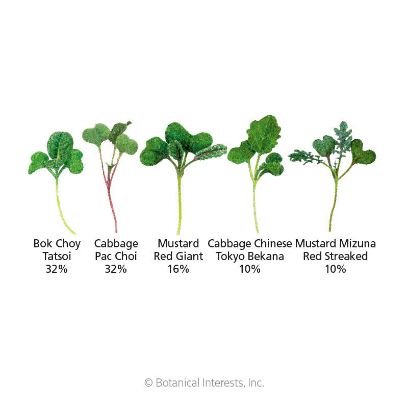 Botanical Interests, Inc. - Microgreens Umami Asian Blend Seeds - Southern Agriculture 