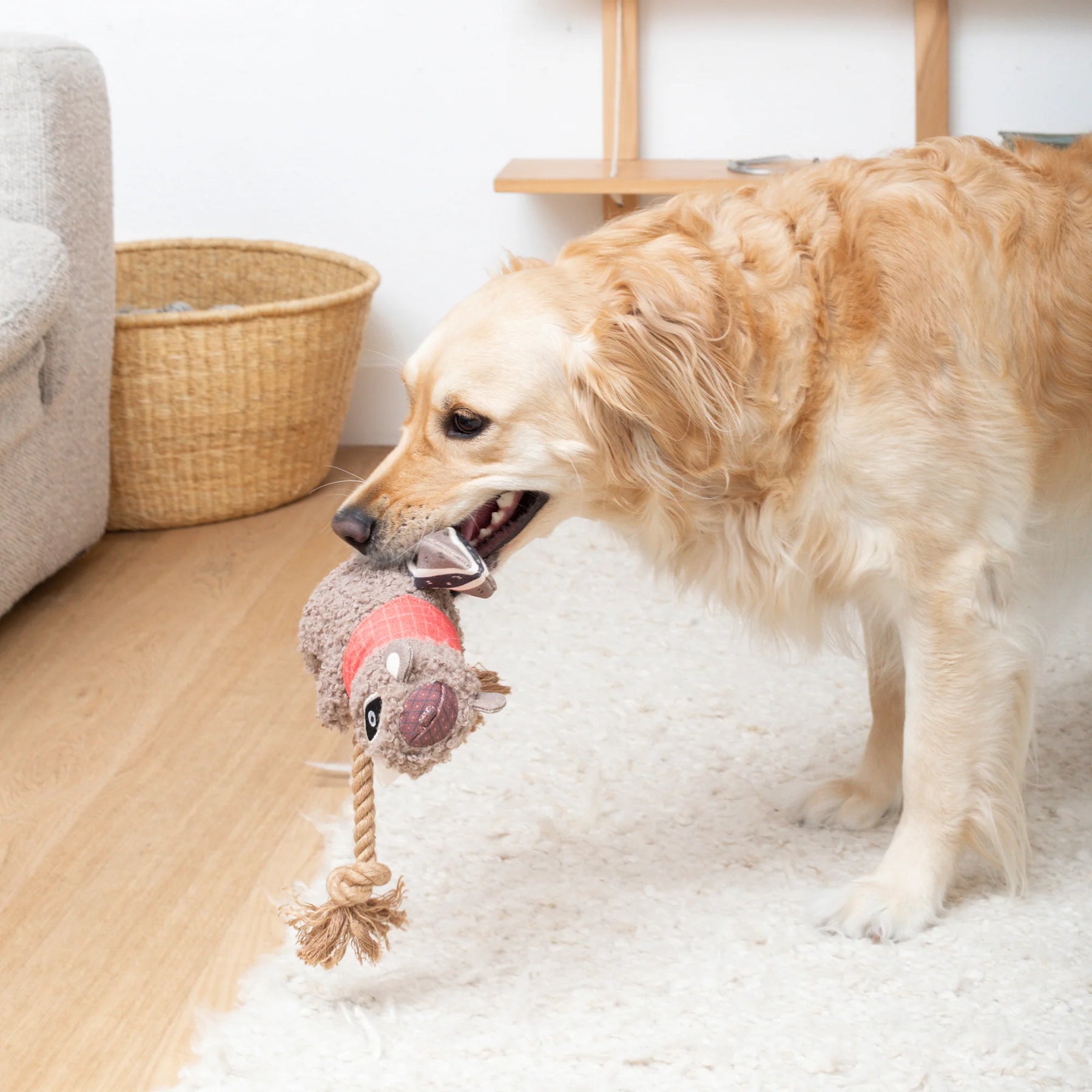 Petshop by Fringe Studio - Dog Toy MS Chip Mixed Material