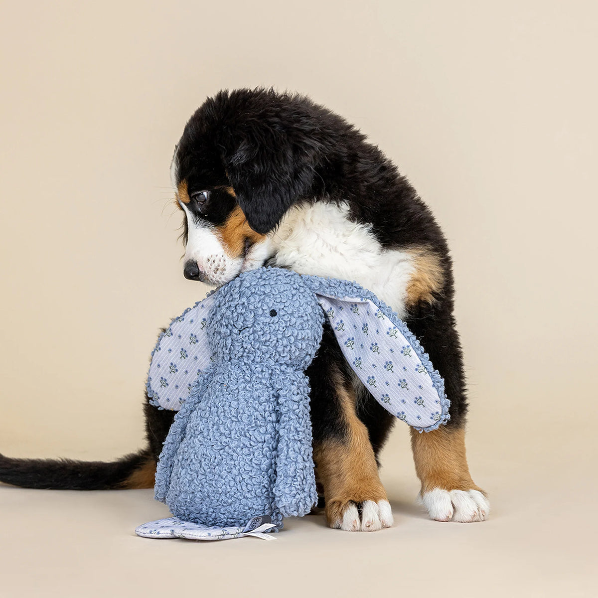 Petshop by Fringe Studio - Dog Toy Hoppy Mixed Material