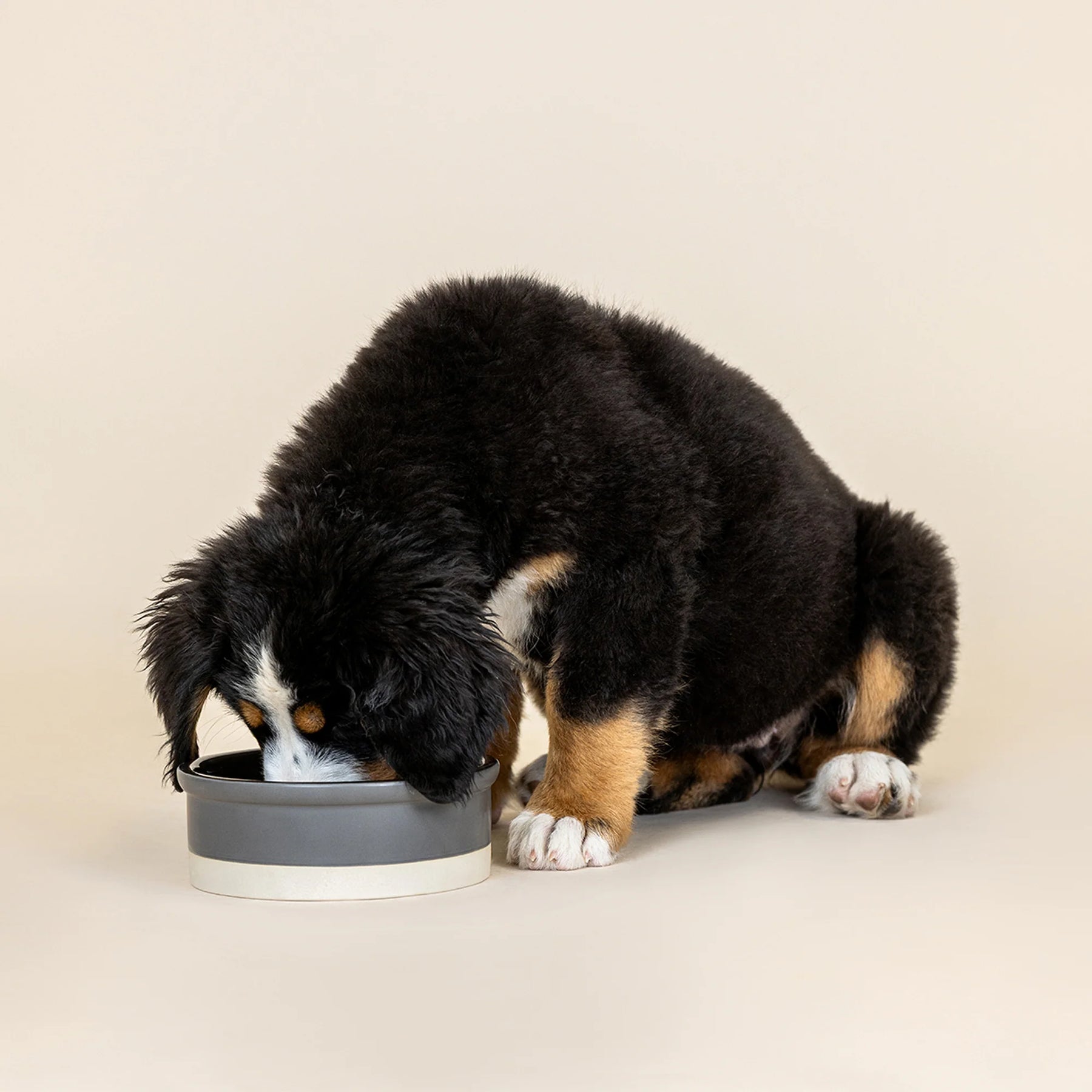 Petshop by Fringe Studio - Pet Bowl Charcoal & Black with Tan Bottom