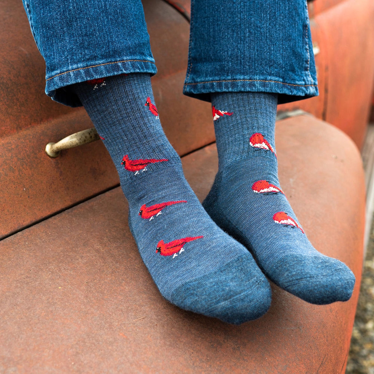 Friday Sock Co. - Men's Socks Cardinal/Robin Mismatch