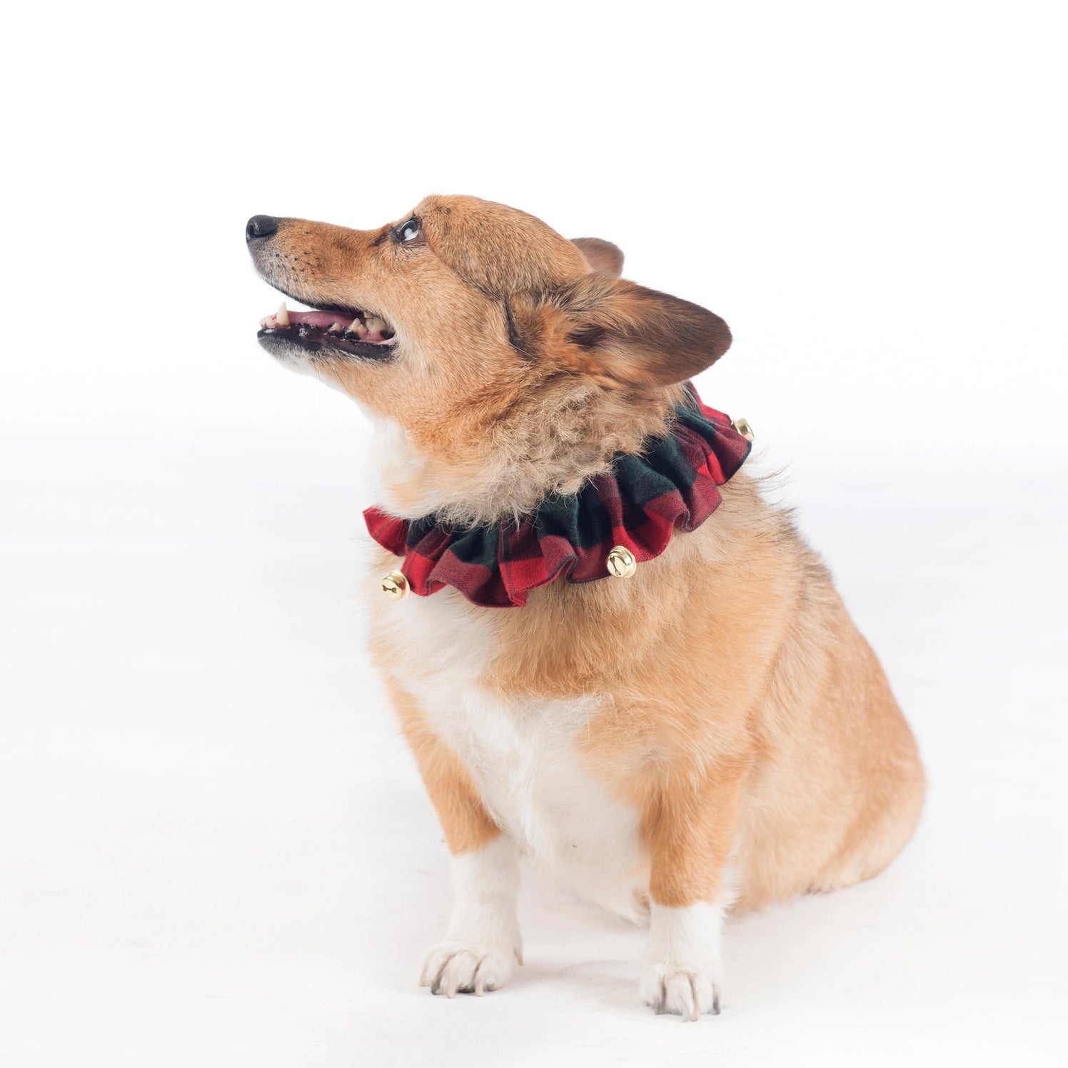 Carolina Pet - Pendleton Dog Collar Plaid Red Ombre