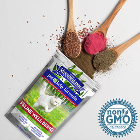 W. F. Young - Missing Link Feline Pet Kelp