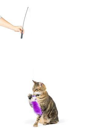 Huxley & Kent - Cat Toy Birdy Feather Teaser