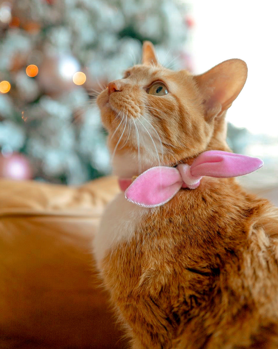 Made by Cleo - Velvet Breakaway Cat Collar with Bunny Ears